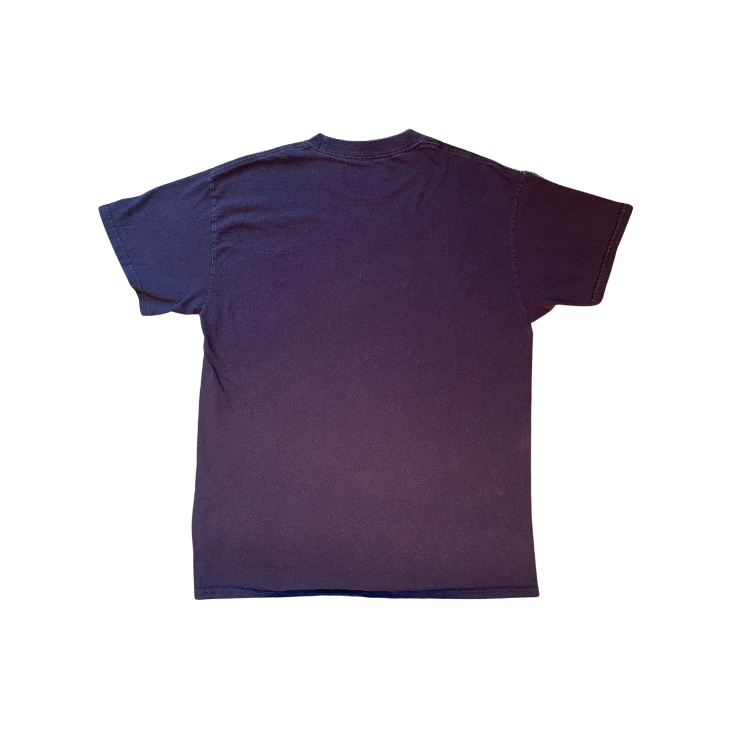 You and I are Earth T-Shirt