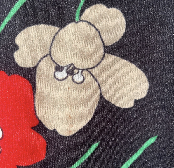 1970's Poppy Dress Set