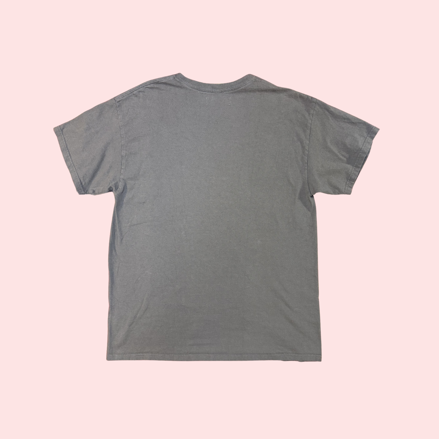 Gray Cosmic Fish T-shirt